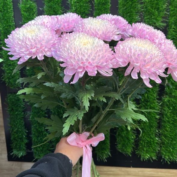 Лунный блик в Армянске