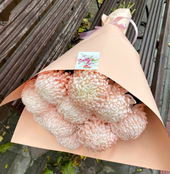 Снежная корона в Армянске