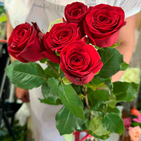 5 красных роз в Армянске