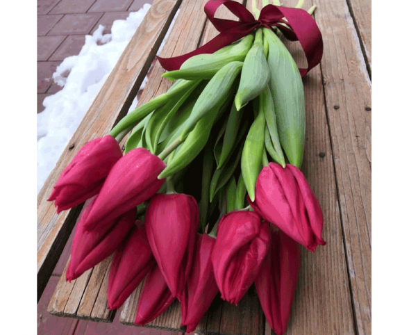 11 красных тюльпанов, лента в Армянске