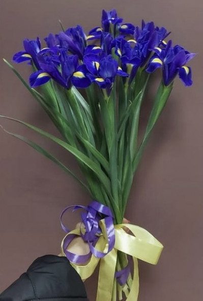 Букет 11 ирисов  в Армянске
