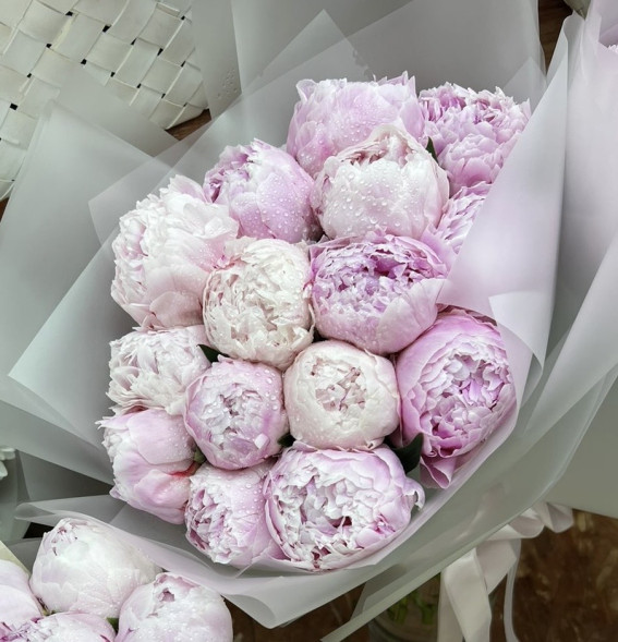 15 пионов Сара Бернар в Армянске